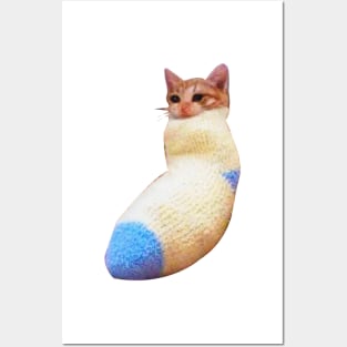 sadcat crying cat in sock meme Posters and Art